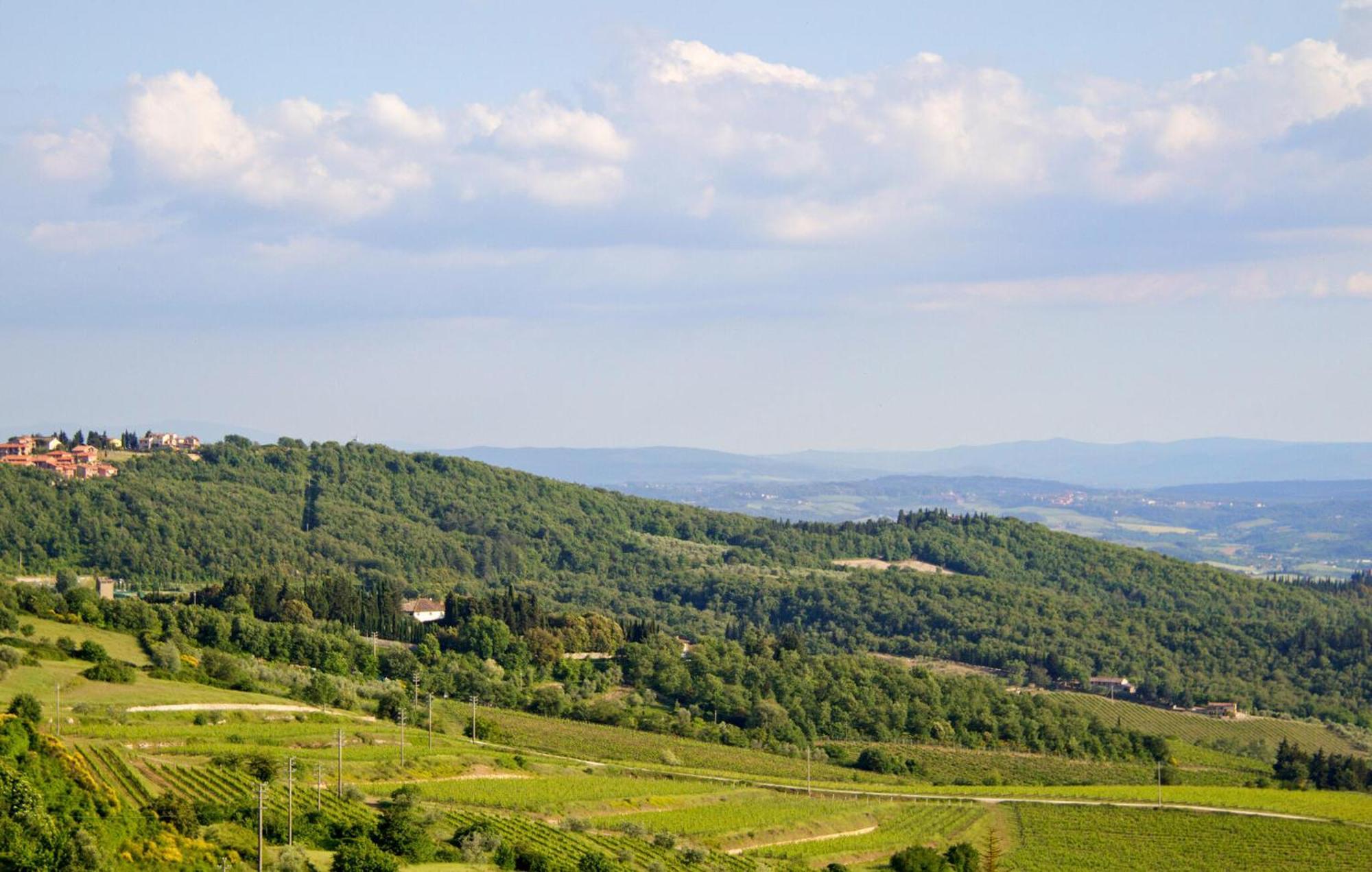 Galletto Nero Panzano in Chianti ภายนอก รูปภาพ